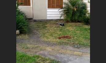 Imagem: Alugo casa Direto