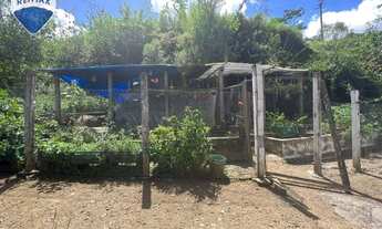 Imagem 6: Sítio à venda, 31300 m² com produção de bananas por R$ 632.000 - Centro - Águas da Prata/S