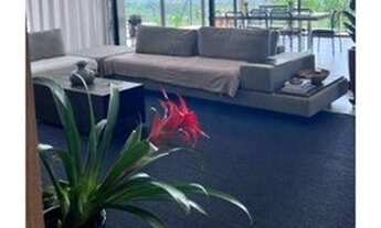 Imagem 2: Campos de Santo Antonio 2