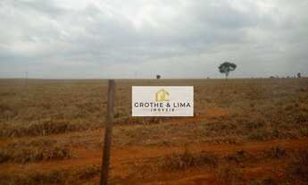 Imagem 14: Excelente Fazenda na região do munícipio de Conceição do Araguaia Pará