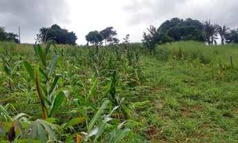 Imagem 2: Chácara próximo ao daia