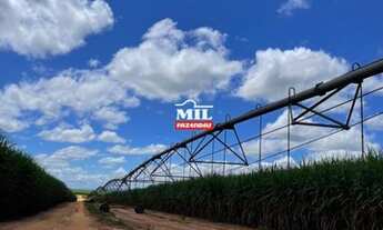 Imagem 2: Fazenda 516 Alqueires ( 2.501 hectares )- Sao Luiz do Norte GO