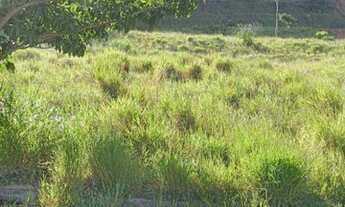 Imagem 3: Terreno à venda, 250 m² - Jardim Nossa Senhora das Graças - Itatiba/SP