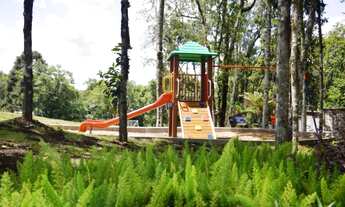 Imagem 6: CAXIAS DO SUL - Terreno Padrão - PEDANCINO