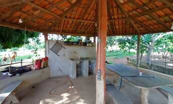 Imagem 4: Fazenda formada terra cultura escriturada troca