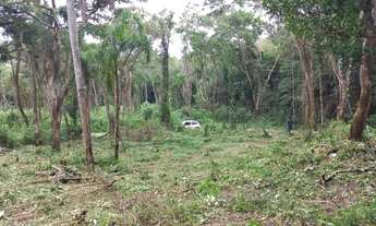 Imagem: Terreno em Ibiuna de 1.000m2 plano, próximo