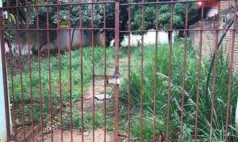 Imagem 2: Selecione residencial à venda