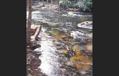 Imagem 4: Chácara vila mata da cachoeira