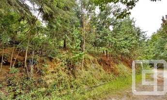 Imagem 3: Terreno à venda, 1018 m² por R$ 400.000,00 - Vila Porã - Campos do Jordão/SP