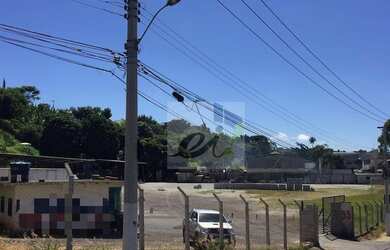 Imagem 4: Galpão Comercial para locação, Coração Eucarístico, Belo Horizonte -