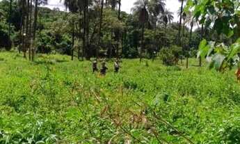 Imagem 4: Lindas fazendinhas de terra e cultura a partir de 20 mil m próximo parada do elefante