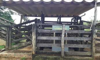 Imagem 6: Fazenda formada porteira fechada Beserra BR 020 Formosa