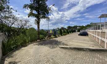 Imagem 2: SãO LEOPOLDO - Padrão - Pinheiro