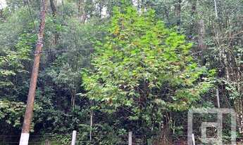 Imagem 5: Terreno à venda, 1087 m² por R$ 300.000,00 - Alto Do Capivari - Campos do Jordão/SP