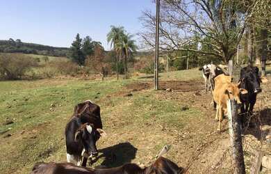 Imagem 2: SITIO ARTUR NOGUEIRA