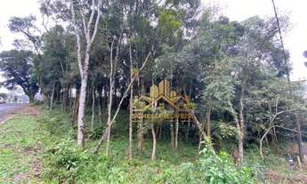 Imagem 8: Terreno à venda, 800 m² por R$ 566.500,00 - Floresta - Gramado/RS