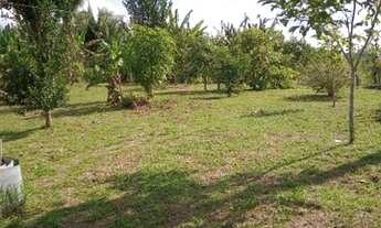 Imagem 3: Vendo chácara Chácara com venda por R$100.000