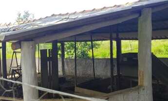 Imagem 5: VENDO FAZENDA 30 KM DE BALSAS MA