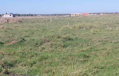 Imagem 3: Dois lote búzios pelo valor de 1