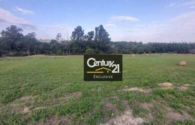 Imagem 5: Terreno com excelente topografia com vista para a mata!