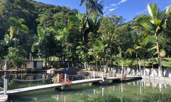 Imagem 6: Sítio 3 Quartos Benedito Novo - SC - Consulte