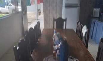 Imagem 3: Casa para aluguel temporada