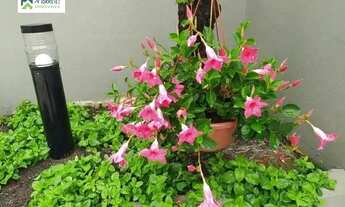 Imagem 7: Sobrado Alto Padrão à venda em Morretes/PR