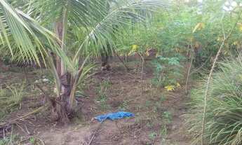 Imagem 5: Valor do terreno 50 mil