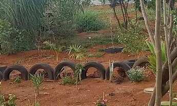 Imagem 6: Chácara no incra 7 a 1km da pista