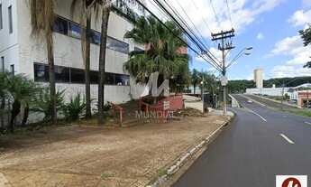 Imagem 2: Salão/Galpão (salão - sobrado