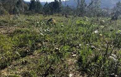 Imagem 5: Promoção para pagamentos a vista!