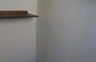 Imagem 15: Apartamento com 3 dormitórios à venda em Belo Horizonte