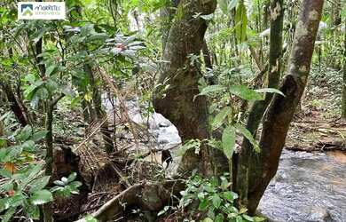 Imagem 3: Chácara à venda no bairro América de Cima - Morretes/PR