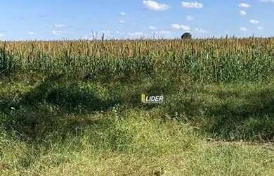 Imagem 2: Fazenda pra Arrendamento região de Canarana/ Querencia