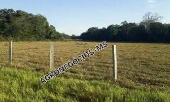 Imagem 7: Fazenda De 10.700 Hectares No Pantanal Da Nhecolandia