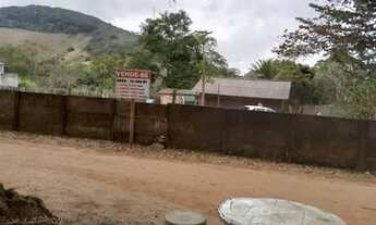 Imagem 2: Vendo Chácara em Patrocinio de Muriaé/MG - 15.440m²(1,54hectare