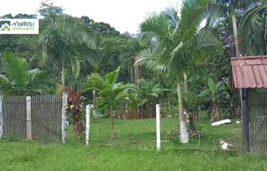 Imagem 4: Chácara à venda no bairro Braço da Figueira - Antonina/PR