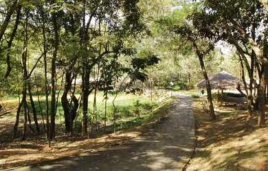 Imagem 6: Casa - Macuco - Valinhos