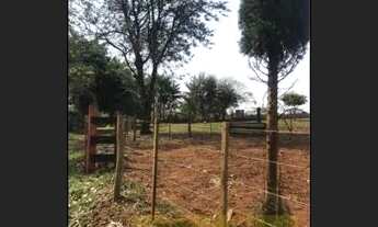 Imagem 3: Manduri - Terreno Padrão - Olhos D'agua