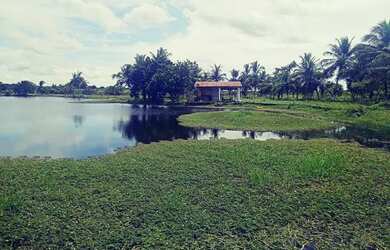 Imagem 3: Vendo Terreno Na Pindoretama Com 20 Hectares E Açude Dentro Vem Terreno Muito Bom. Conte c
