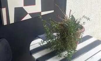 Imagem 2: Alugo em ótimo local