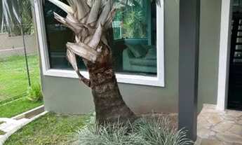 Imagem 7: Casa Novo Cavaleiro