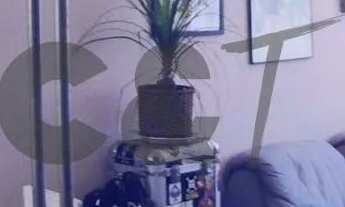 Imagem: Apartamento com 1 Dormitório à Venda em