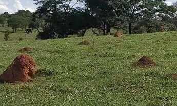 Imagem 6: CHÁCARAS com 1000mts perto de BH, 2x = R$10.000,00 mais parcelas