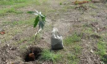 Imagem 5: Terreno à venda em Centro - MT