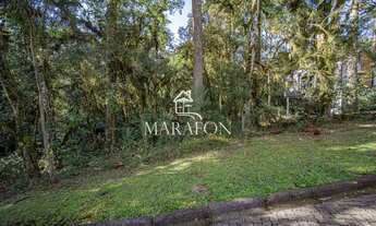 Imagem 5: TERRENO À VENDA EM CANELA NO CONDOMÍNIO PINHEIRO GROSSO!