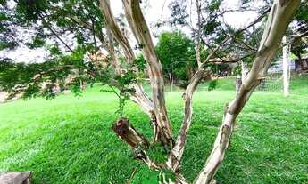 Imagem 4: Lindo Terreno de Chácara