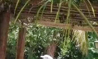 Imagem 6: Rancho com 4 dormitórios à venda, 480 m² por R$ 560.000 - Centro - Mendonça/SP