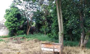 Imagem 5: Terrenos Padrão em Sertãozinho