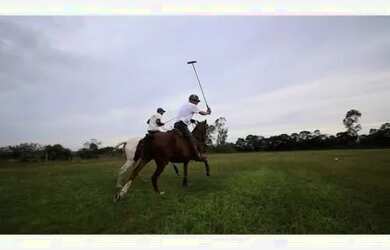 Imagem 6: Fazenda-Sítio com 4 Dormitorio(s) localizado(a) no bairro São José em Viamão / Ref.:OR6918